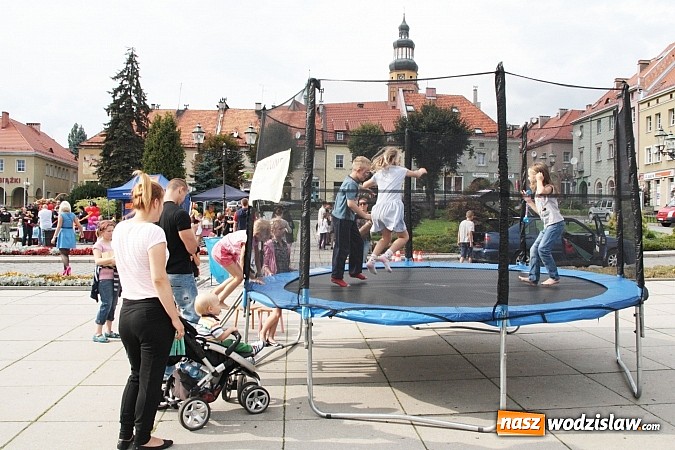 Zdjęcie w galerii na portalu naszwodzislaw.com: Zwierzęta przez kilka godzin rządziły na wodzisławskim rynku wiadomości z regionu