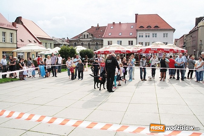 Zdjęcie w galerii na portalu naszwodzislaw.com: Zwierzęta przez kilka godzin rządziły na wodzisławskim rynku wiadomości z regionu