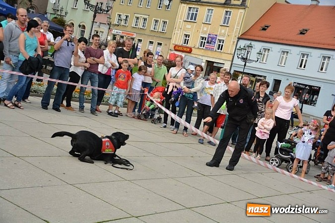 Zdjęcie w galerii na portalu naszwodzislaw.com: WCK: Wakacyjne resume wiadomości z regionu