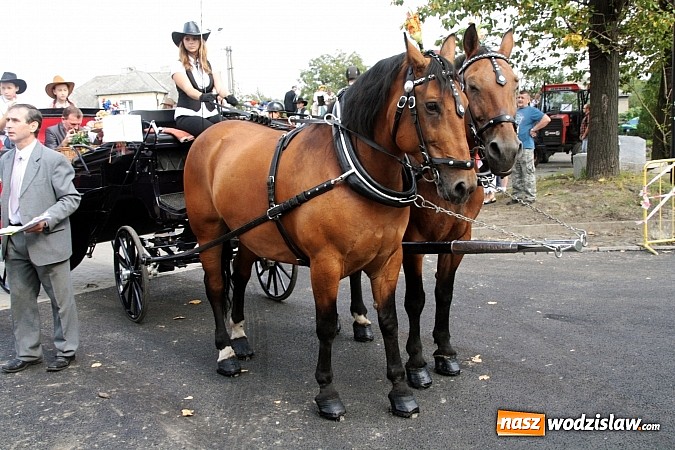 Zdjęcie w galerii na portalu naszwodzislaw.com: W Radlinie dziękują dziś za plony wiadomości z regionu