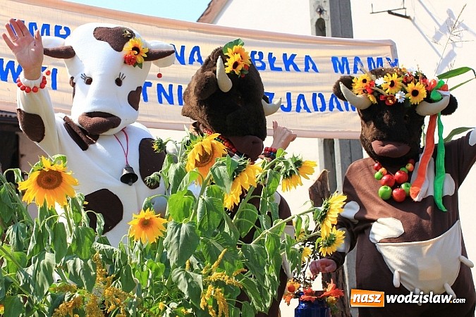 Zdjęcie w galerii na portalu naszwodzislaw.com: Potężny korowód dożynkowy w Lubomi! wiadomości z regionu