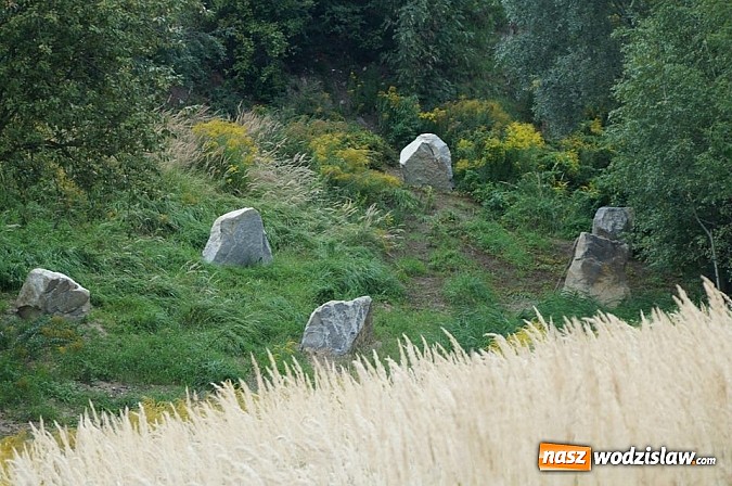 Zdjęcie w galerii na portalu naszwodzislaw.com: Zobacz jak idzie budowa Rodzinnego Parku Rozrywki w Wodzisławiu Śląskim wiadomości z regionu