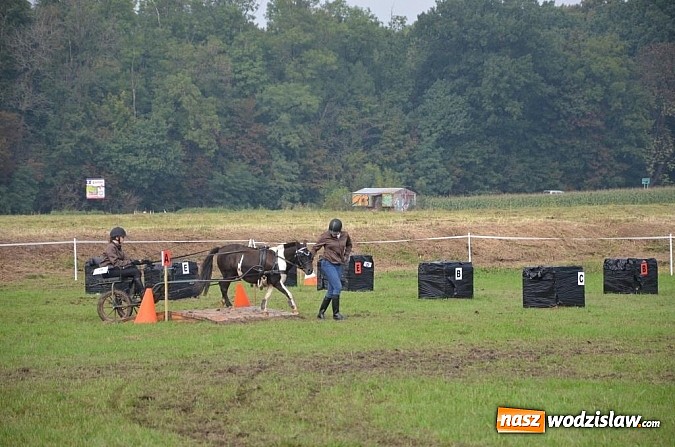 Zdjęcie w galerii na portalu naszwodzislaw.com: Zaprzęgi wygrały z pogodą wiadomości z regionu