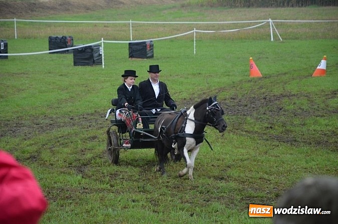 Zdjęcie w galerii na portalu naszwodzislaw.com: Zaprzęgi wygrały z pogodą wiadomości z regionu