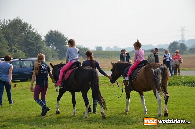 Zdjęcie w galerii na portalu naszwodzislaw.com: Zaprzęgi wygrały z pogodą wiadomości z regionu