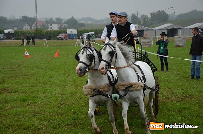 Zdjęcie w galerii na portalu naszwodzislaw.com: Zaprzęgi wygrały z pogodą wiadomości z regionu
