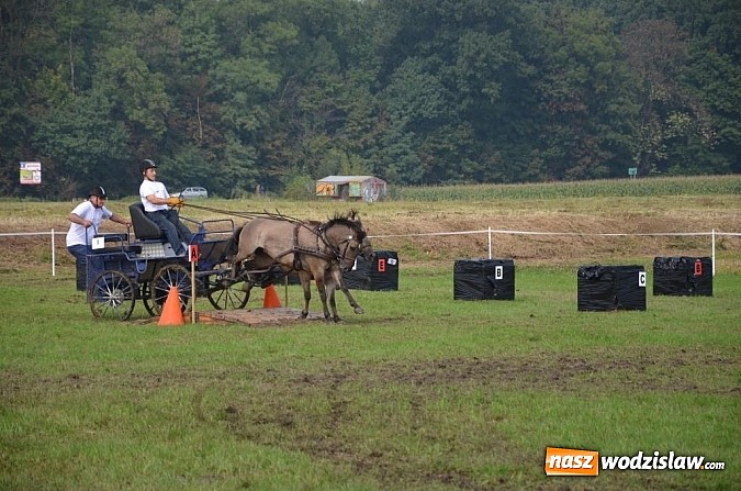 Zdjęcie w galerii na portalu naszwodzislaw.com: Zaprzęgi wygrały z pogodą wiadomości z regionu