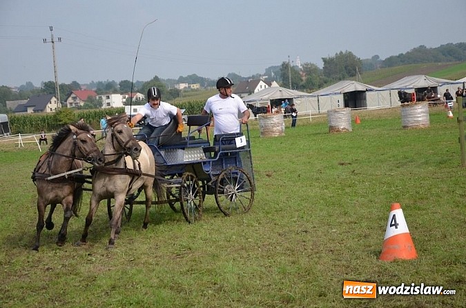 Zdjęcie w galerii na portalu naszwodzislaw.com: Zaprzęgi wygrały z pogodą wiadomości z regionu