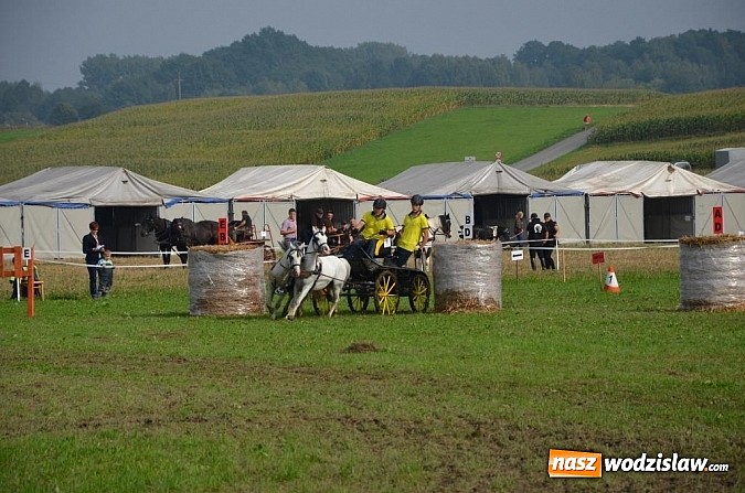 Zdjęcie w galerii na portalu naszwodzislaw.com: Zaprzęgi wygrały z pogodą wiadomości z regionu