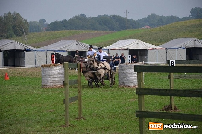 Zdjęcie w galerii na portalu naszwodzislaw.com: Zaprzęgi wygrały z pogodą wiadomości z regionu