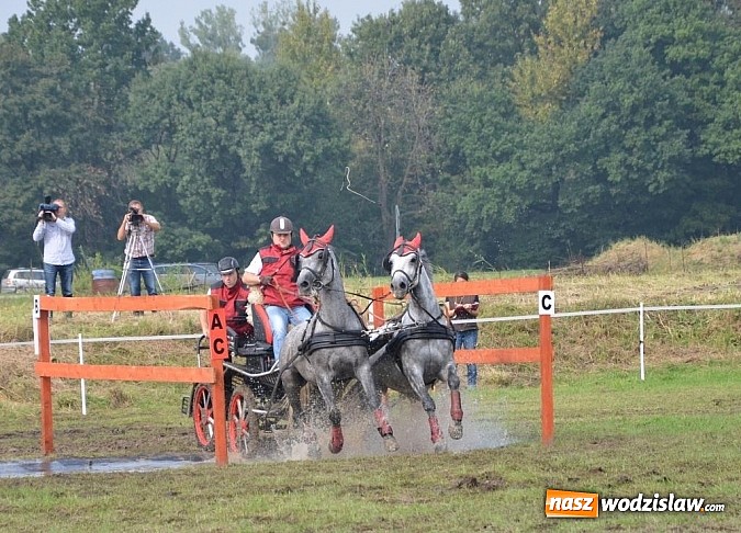 Zdjęcie w galerii na portalu naszwodzislaw.com: Zaprzęgi wygrały z pogodą wiadomości z regionu