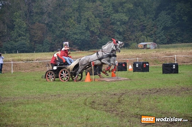 Zdjęcie w galerii na portalu naszwodzislaw.com: Zaprzęgi wygrały z pogodą wiadomości z regionu