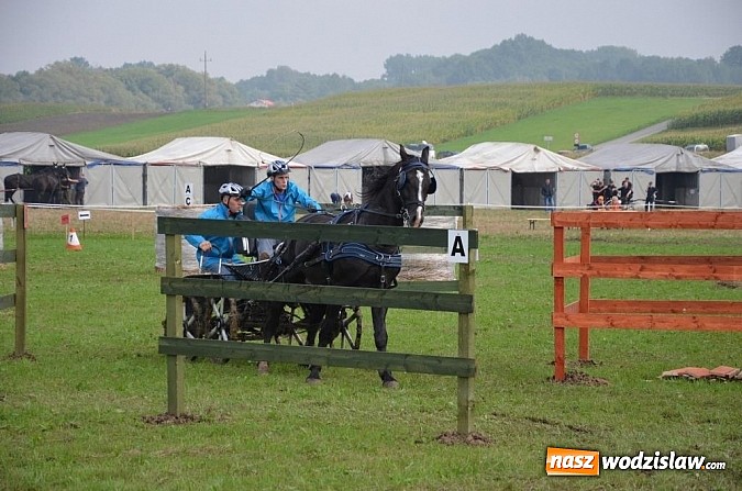 Zdjęcie w galerii na portalu naszwodzislaw.com: Zaprzęgi wygrały z pogodą wiadomości z regionu
