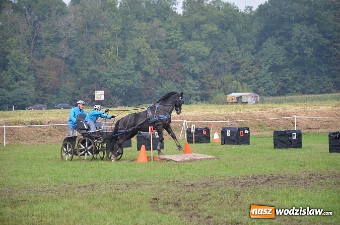 Zdjęcie w galerii na portalu naszwodzislaw.com: Zaprzęgi wygrały z pogodą wiadomości z regionu