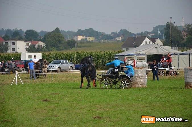 Zdjęcie w galerii na portalu naszwodzislaw.com: Zaprzęgi wygrały z pogodą wiadomości z regionu