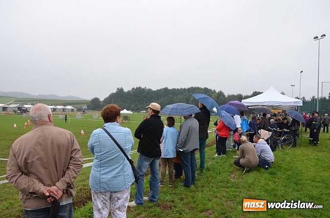 Zdjęcie w galerii na portalu naszwodzislaw.com: Zaprzęgi wygrały z pogodą wiadomości z regionu