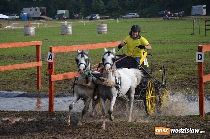 Zdjęcie w galerii na portalu naszwodzislaw.com: Zaprzęgi wygrały z pogodą wiadomości z regionu