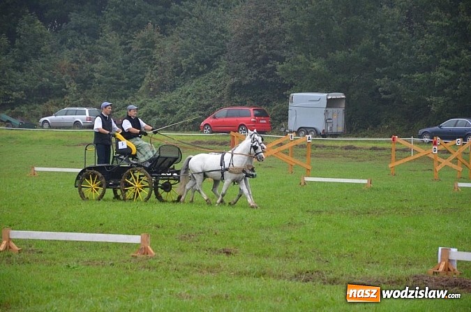 Zdjęcie w galerii na portalu naszwodzislaw.com: Zaprzęgi wygrały z pogodą wiadomości z regionu