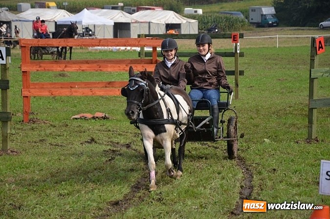 Zdjęcie w galerii na portalu naszwodzislaw.com: Zaprzęgi wygrały z pogodą wiadomości z regionu