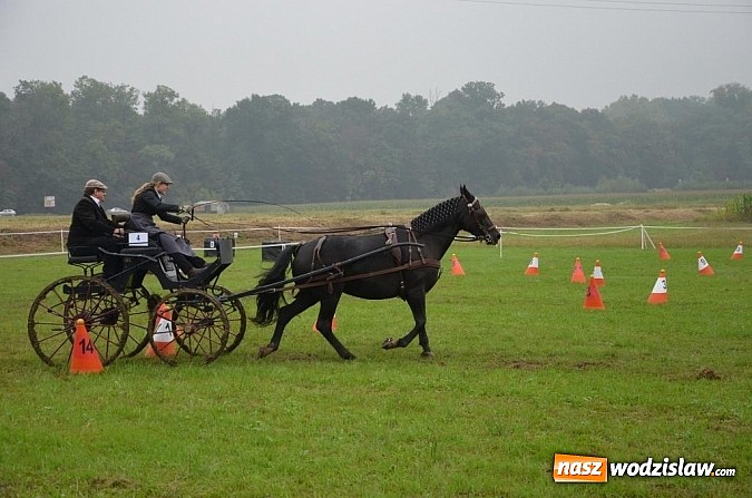 Zdjęcie w galerii na portalu naszwodzislaw.com: Zaprzęgi wygrały z pogodą wiadomości z regionu