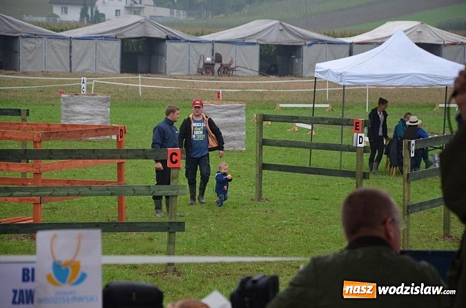 Zdjęcie w galerii na portalu naszwodzislaw.com: Zaprzęgi wygrały z pogodą wiadomości z regionu