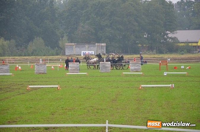 Zdjęcie w galerii na portalu naszwodzislaw.com: Zaprzęgi wygrały z pogodą wiadomości z regionu