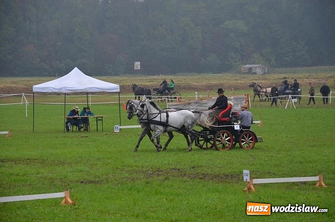 Zdjęcie w galerii na portalu naszwodzislaw.com: Zaprzęgi wygrały z pogodą wiadomości z regionu