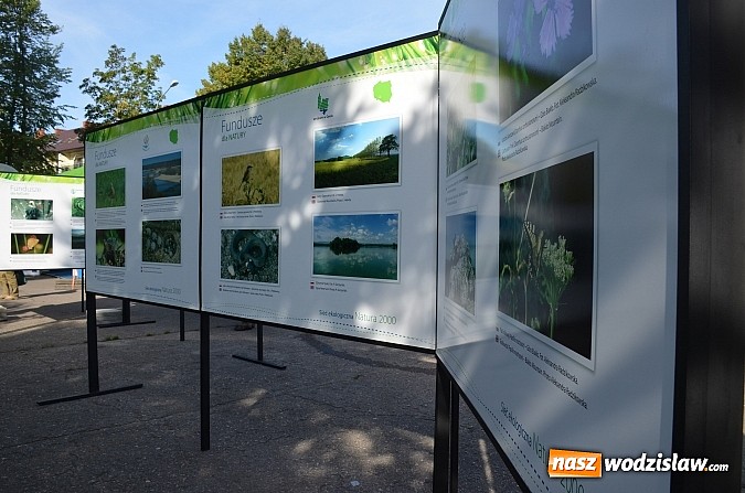 Zdjęcie w galerii na portalu naszwodzislaw.com: „Ekologiczne Davos” wiadomości z regionu