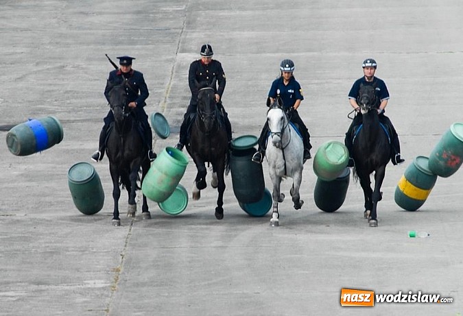 Zdjęcie w galerii na portalu naszwodzislaw.com: Tysiące widzów na Dniach NATO w Ostrawie wiadomości z regionu