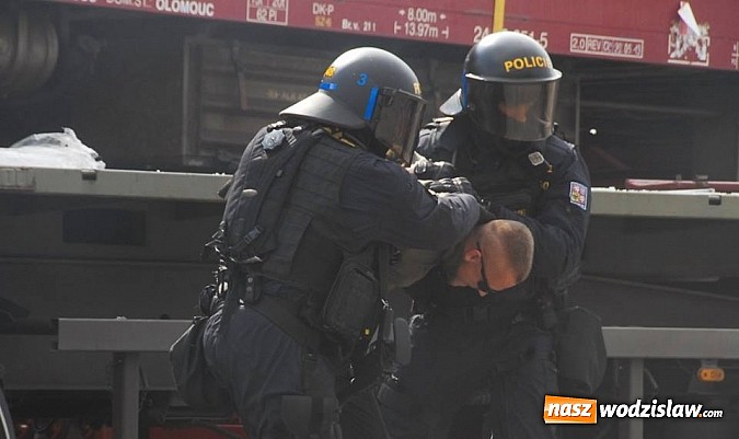 Zdjęcie w galerii na portalu naszwodzislaw.com: Tysiące widzów na Dniach NATO w Ostrawie wiadomości z regionu