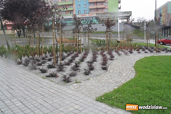 Zdjęcie w galerii na portalu naszwodzislaw.com: Rynek w Pszowie: Płyta rynku jest udostępniona tylko i wyłącznie na ryzyko wykonawcy! wiadomości z regionu