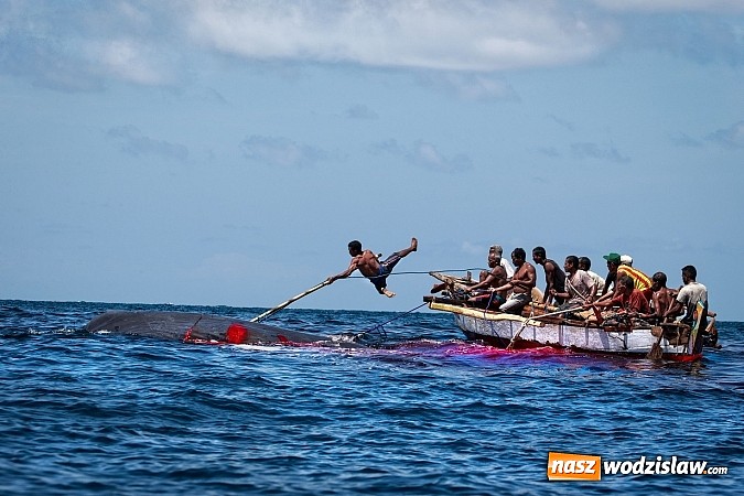 Zdjęcie w galerii na portalu naszwodzislaw.com: Obrazy, które uczyniły ze świata obiekt sam w sobie wiadomości z regionu