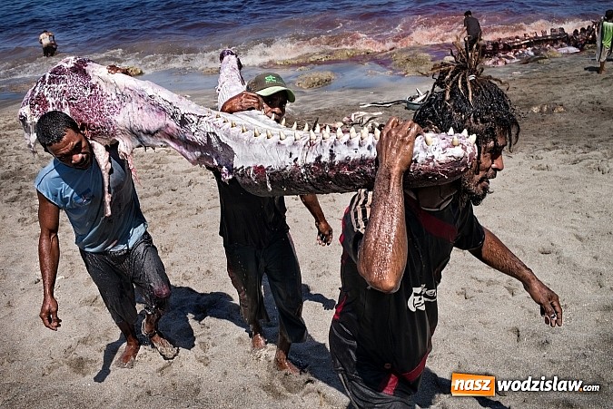 Zdjęcie w galerii na portalu naszwodzislaw.com: Obrazy, które uczyniły ze świata obiekt sam w sobie wiadomości z regionu