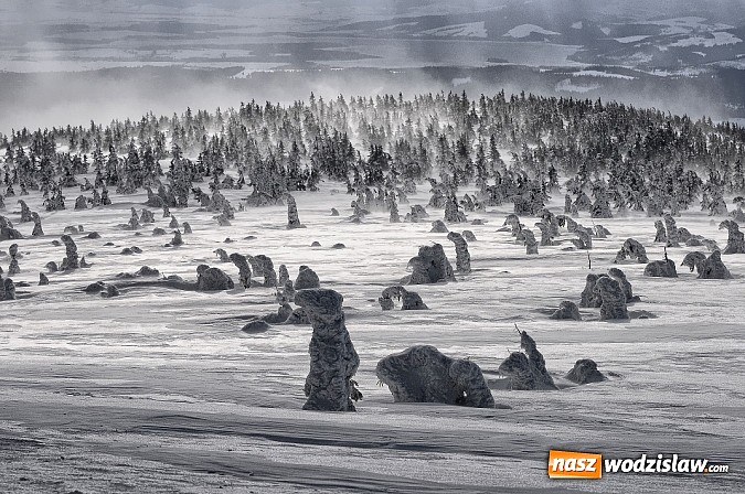Zdjęcie w galerii na portalu naszwodzislaw.com: Obrazy, które uczyniły ze świata obiekt sam w sobie wiadomości z regionu