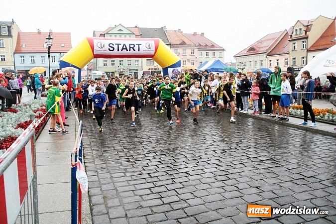 Zdjęcie w galerii na portalu naszwodzislaw.com: Około 300 uczestników stanęło dzisiaj na stracie biegu ulicznego  wiadomości z regionu