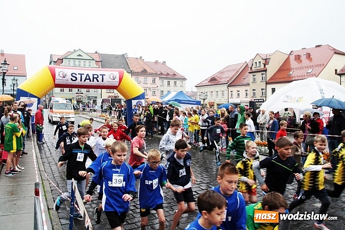 Zdjęcie w galerii na portalu naszwodzislaw.com: Około 300 uczestników stanęło dzisiaj na stracie biegu ulicznego  wiadomości z regionu