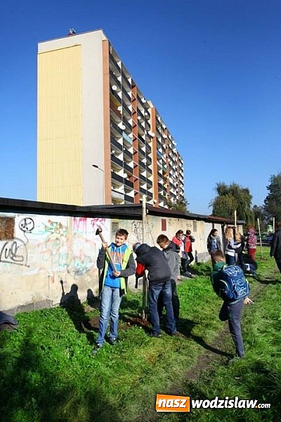 Zdjęcie w galerii na portalu naszwodzislaw.com: 