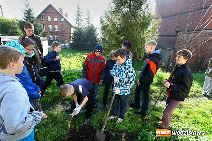 Zdjęcie w galerii na portalu naszwodzislaw.com: 