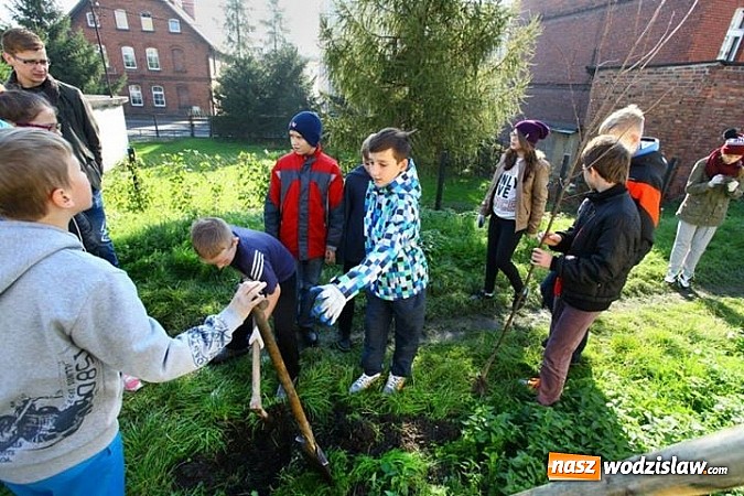 Zdjęcie w galerii na portalu naszwodzislaw.com: 