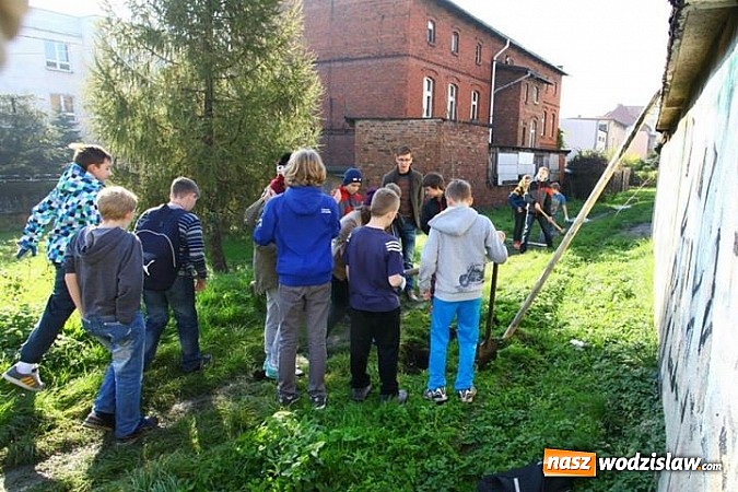 Zdjęcie w galerii na portalu naszwodzislaw.com: 