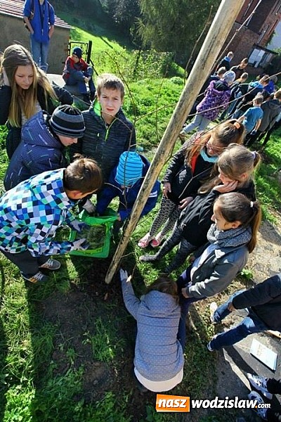 Zdjęcie w galerii na portalu naszwodzislaw.com: 