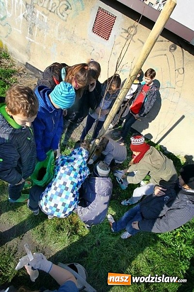 Zdjęcie w galerii na portalu naszwodzislaw.com: 