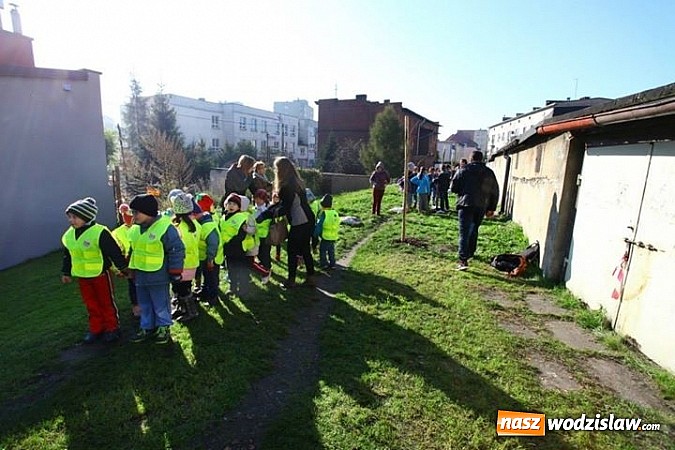 Zdjęcie w galerii na portalu naszwodzislaw.com: 