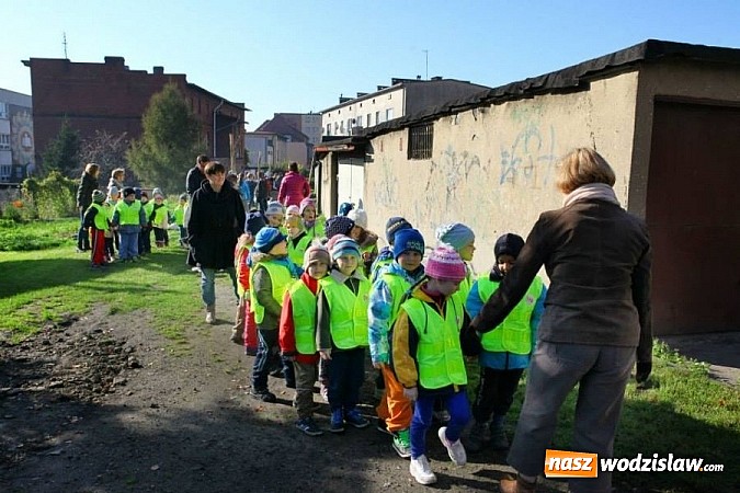 Zdjęcie w galerii na portalu naszwodzislaw.com: 