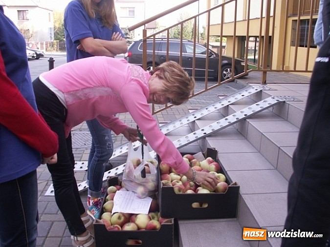 Zdjęcie w galerii na portalu naszwodzislaw.com: 