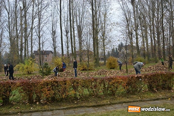 Zdjęcie w galerii na portalu naszwodzislaw.com: Znowu sadzili 