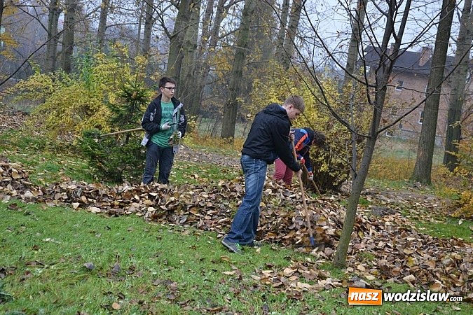 Zdjęcie w galerii na portalu naszwodzislaw.com: Znowu sadzili 