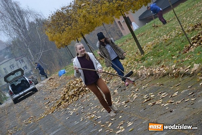 Zdjęcie w galerii na portalu naszwodzislaw.com: Znowu sadzili 