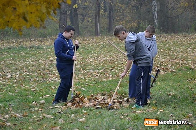 Zdjęcie w galerii na portalu naszwodzislaw.com: Znowu sadzili 