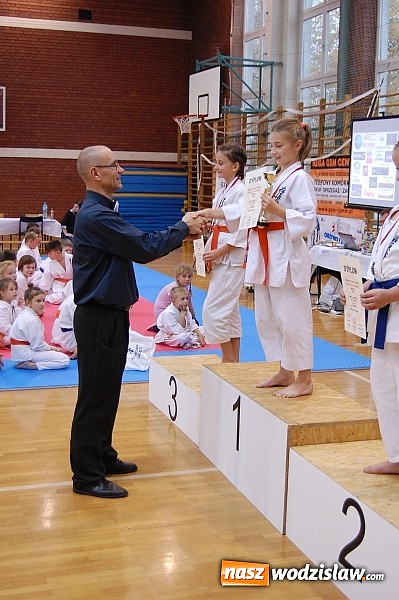 Zdjęcie w galerii na portalu naszwodzislaw.com: Sukcesy wodzisławskich sportowców wiadomości z regionu